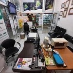 کافی نت پارسی