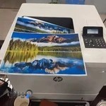 کافی نت تک نت