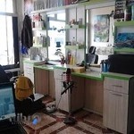 کافی نت کلیک (مولائی)