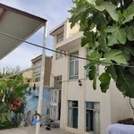 مهمانپذیر بلوط