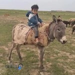 مهمانسرای روزهای طلایی