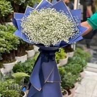 آرایشی بهداشتی فاطیما