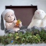 عکاسخانه شهر