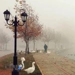 .بیلیارد اطلس.