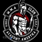 اکادمی آمرتکا