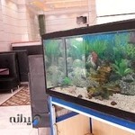 سرای شاندیز