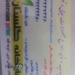 چاپخانه گلستان دزفول سید محمدصالح عالمشاه