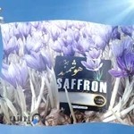 طهران تابلو