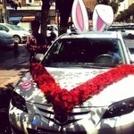 گلفروشی ژورنال گل