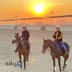 باشگاه سوارکاری ذوالجناح نزاجا