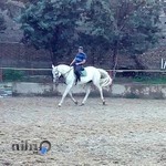 باشگاه سوارکاری سوارکاران غرب