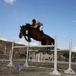 باشگاه سوارکاری الغدیر