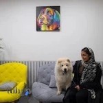 کلینیک دامپزشکی تخصصی دکتر تقی زاده