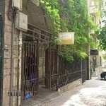 دکتر شهناز امینی