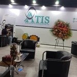 آسانسور و پله برقی آتیس