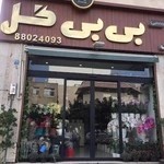 بی‌بی گل