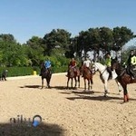 باشگاه سوارکاری آذر فراز