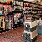 پامرانین پت شاپ