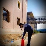 خدمات تخصصی سمپاشی و کنترل حشرات موذی بهار