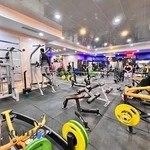 مجموعه ورزشی اسپید