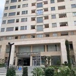 دکتر انیس فرد موسوی