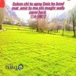 فرانو