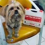 کلینیک دامپزشکی ظفر