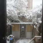 استخر دلفین