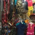 پت شاپ پاسداران