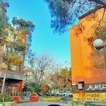 پیتزا و ساندویچ مزمز