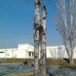 فدراسیون تیراندازی ایران