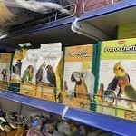 پت شاپ بیلی