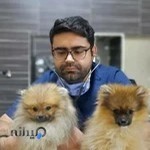کلینیک دامپزشکی دکتر علیرضا مقدم