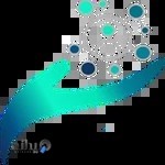 شرکت دیجیتال مارکتینگ رابین هوش