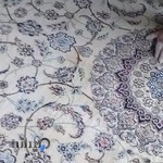 قالیشویی حاج رضا یوسفی