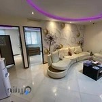 دکتر سعید پارسیان فر