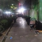 مجموعه ورزشی البرز