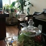 آموزشگاه سکوت ساز