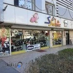 سیسمونی شاپرک