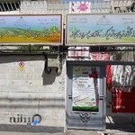 آموزشگاه زبان؛ علمی وکنکور نابغه دخترانه - پسرانه