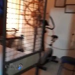 فیزیو تراپی فرشید