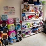 پت شاپ اینترنتی دکتر پتیران