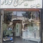 سیسمونی نوزاد طوسی