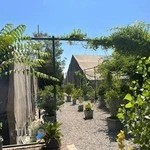 باشگاه تنیس شهرک نفت MTA