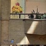 گلفروشی ونوس