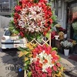 فروشگاه گل کاکتوس