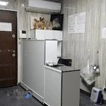 کلینیک دامپزشکی دکتر افروز