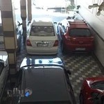 نمایشگاه رز