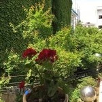 مرکز روزانه توانبخشی سالمندان سرای محبت