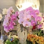 گلفروشی ایگل